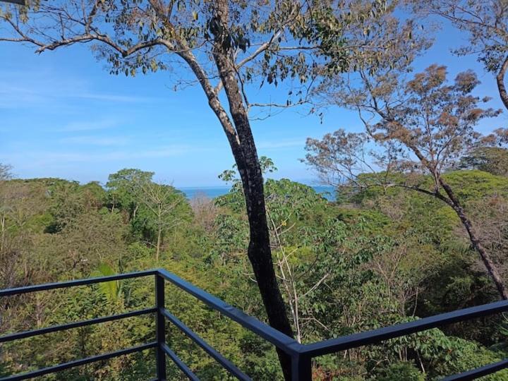 Вілла Laurel Jungle & Ocean Playa Santa Teresa  Екстер'єр фото