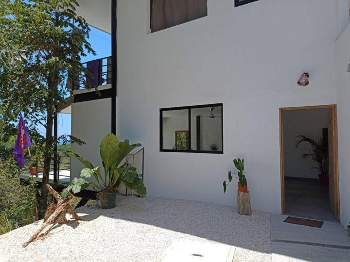Вілла Laurel Jungle & Ocean Playa Santa Teresa  Екстер'єр фото