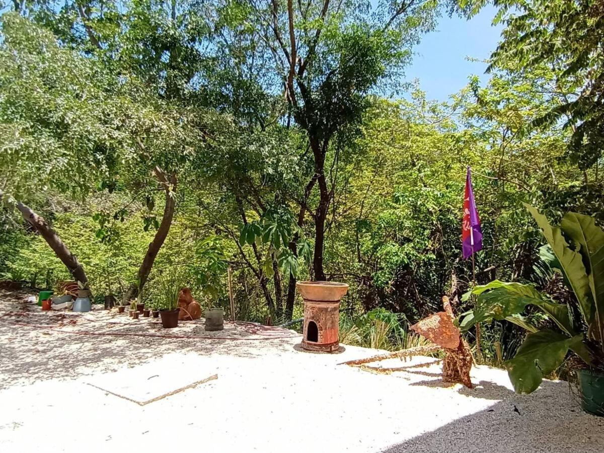 Вілла Laurel Jungle & Ocean Playa Santa Teresa  Екстер'єр фото